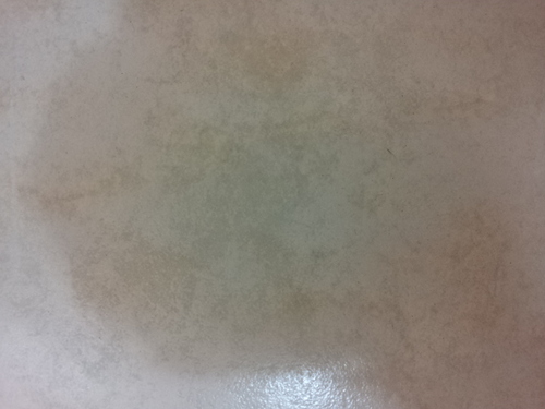 chjs1128's profile picture. 