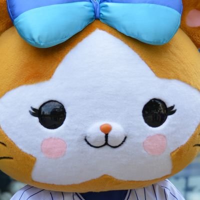 ぶっちゃー