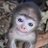jjuno7774's profile image