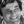 Lieutenant Columbo (@columbophile) profile picture