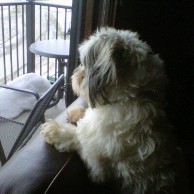 Profile Picture of Mike (@MikeMccrimmon) on Twitter