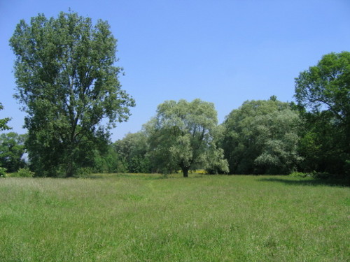 jeromehamelin's profile picture. 