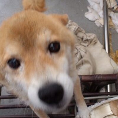 奴の名前はとしき Harayama130 Twitter
