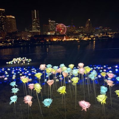 ︎移行先 @___se_0103