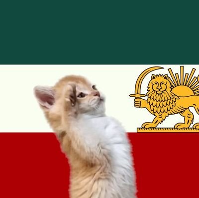 🇮🇷illusion 🏳️🌈