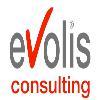 EVOLIS Consulting est une société de conseil en Ingénierie spécialisée dans le SI.