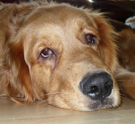 joninvt's profile picture. 