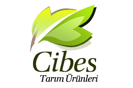 cibestarim's profile picture. 