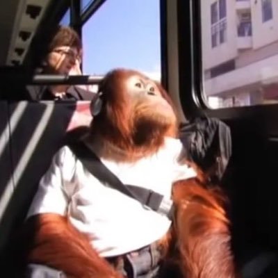 JMCSZN's profile picture. 🪼IM ME, I DO ME, AND I CHILL.🪼