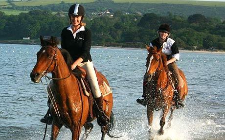 Mullingar Equestrian Profile