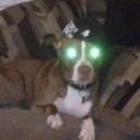 Daniel Servedio - @danservedio - Twitter