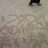 0720_tam's profile image