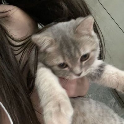  ︎︎