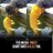 Oyedot20's profile image