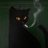 ldcyyy's profile image