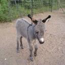 KATHY STANLEY - @kann55 - Twitter