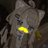 Rinta05061946's profile image