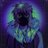 northwind3r's profile image
