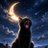 mTpQ5T8DxlRkH7L's profile image