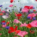 Traci Day - @day_traci - Twitter