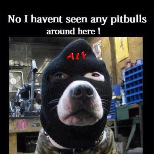 WreckerRich's profile picture. towtruckrich on Instagram