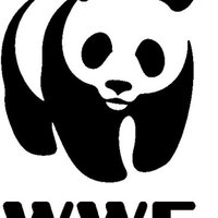 WWF RDC(@WWFRDC) 's Twitter Profileg