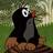 MillHillMole's profile image