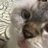 sekrawrr's profile image