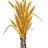 abreham50061806's profile image