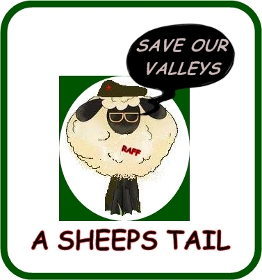 BaarbaaraSheep's profile picture. I live on a mountain in South Wales called Carn Bugail, I love life, nature, & animals and I love to tell stories.