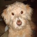 Skyler Gardner - @SkyCar07 - Twitter