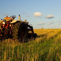 Small Town Problems (@smalltwnprobs) 's Twitter Profile Photo Small Town Problems (@smalltwnprobs) 's Twitter Profile Photo