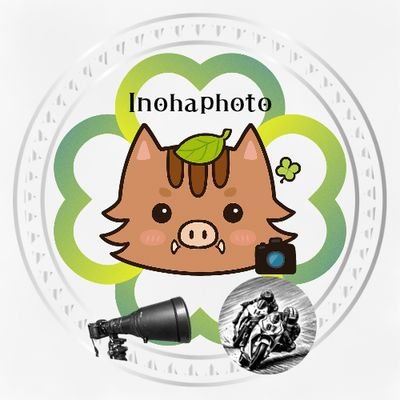 inohaphoto🍀【イノハ🍀* ゚】·