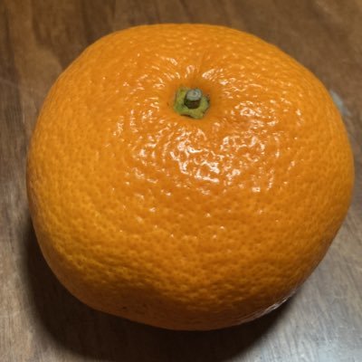 luAxQtwKbSqVwRE's profile image