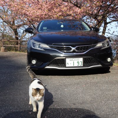 まえっち