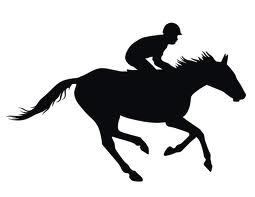 ShtNonRidersSay's profile picture. Because we all know how stupid non-horse people can sound...