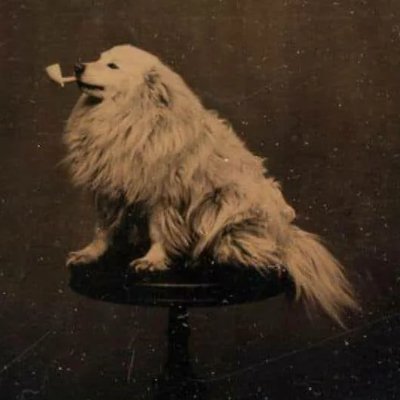 AtomicBeelzebub's profile image