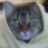 KeroCaro's profile image