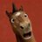 dawda5152's profile image
