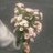 Nuit_48's profile image