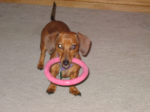 marty801's profile picture. 