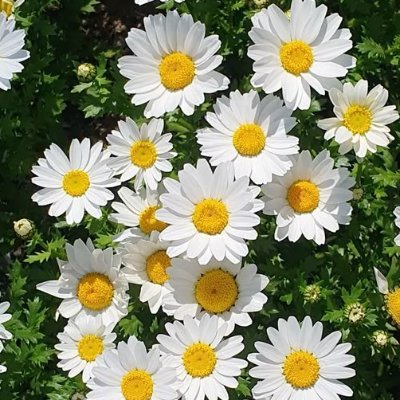 たんたんたん♬