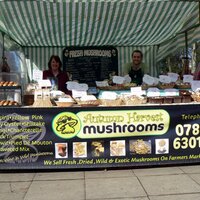 Autumn Harvest (@autumnharvest1) 's Twitter Profile