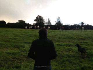 danielfs86's profile picture. Quiteño de corazón, Abogado, hincha de Barcelona Sporting Club.