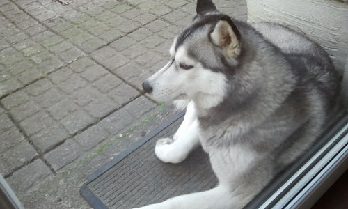 dkanesnr007's profile picture. life........ but you have to love it.