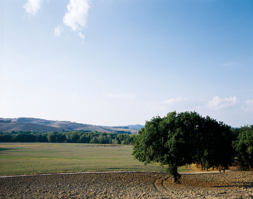 UrbinoResort1's profile picture. Urbino Resort-Santi Giacomo e Filippo significa ospitare nella storia e nella tradizione rurale marchigiana...
