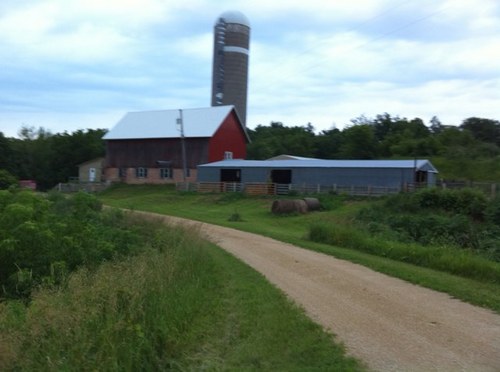 PT_Moonlight's profile picture. 