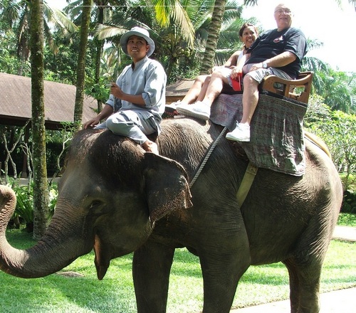 Retired Brit living in Bali,making money with online marketing.