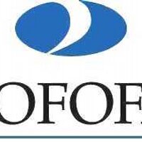 Sofofa RS (@sofofars) 's Twitter Profile Photo