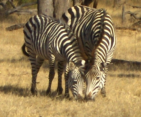 BeccaLGrogan's profile picture. This isn't all there is.